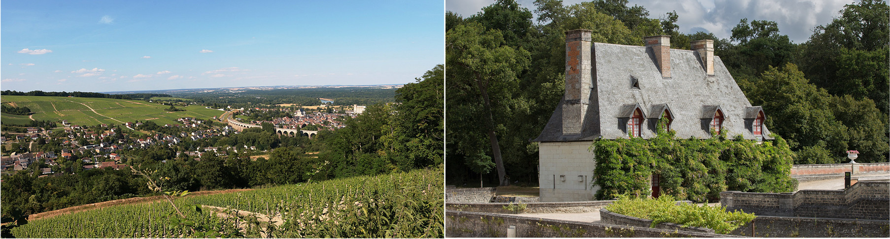 Photo-Loir-Valley-Vineyards
